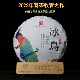 2023头春冰岛古树普洱茶生茶饼357克