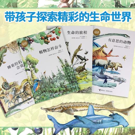 睡着的石头会说话 11-14岁 苗德岁 著 科普百科 商品图2