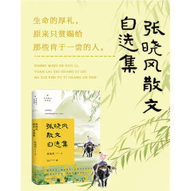 张晓风散文自选集