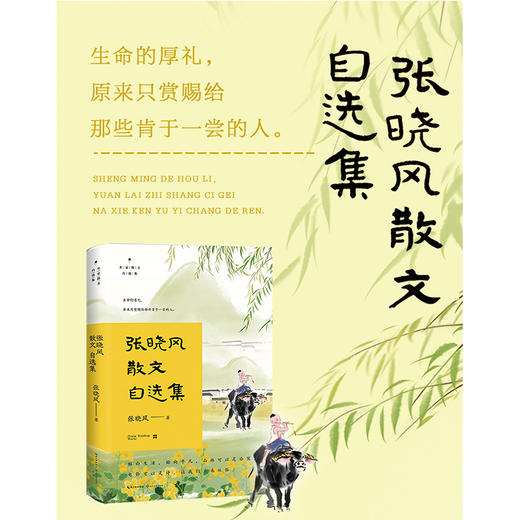 张晓风散文自选集 商品图0