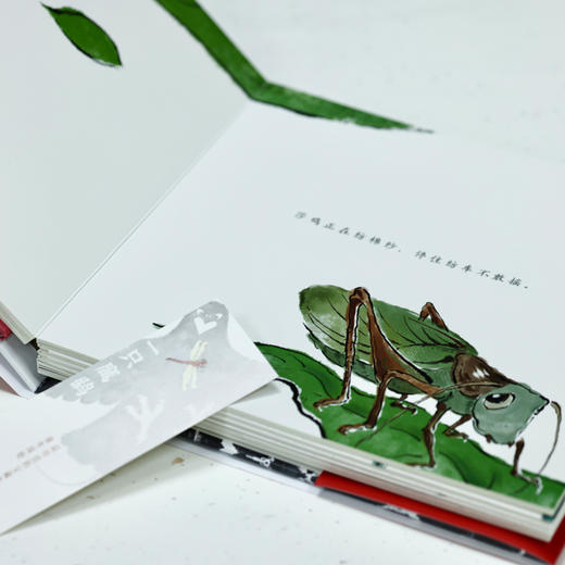 一只鹰鹞 《父母爱情》演员、中央戏剧学院表演教师刘天池真挚推荐，一本动起来的的中国原创童谣 商品图5