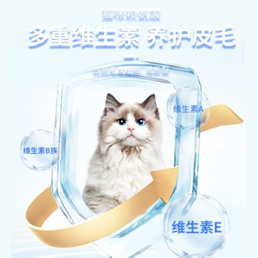 宝莱美露 猫咪赖氨酸片100粒 营养品批发 商品图2