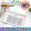 【懒人纯欲猫精灵假睫毛】小恶魔日常清新漫画眼精灵耳，眼睛自然灵动，塑造灵动双眼，眼睛方法效果立刻看得见sh 商品缩略图1