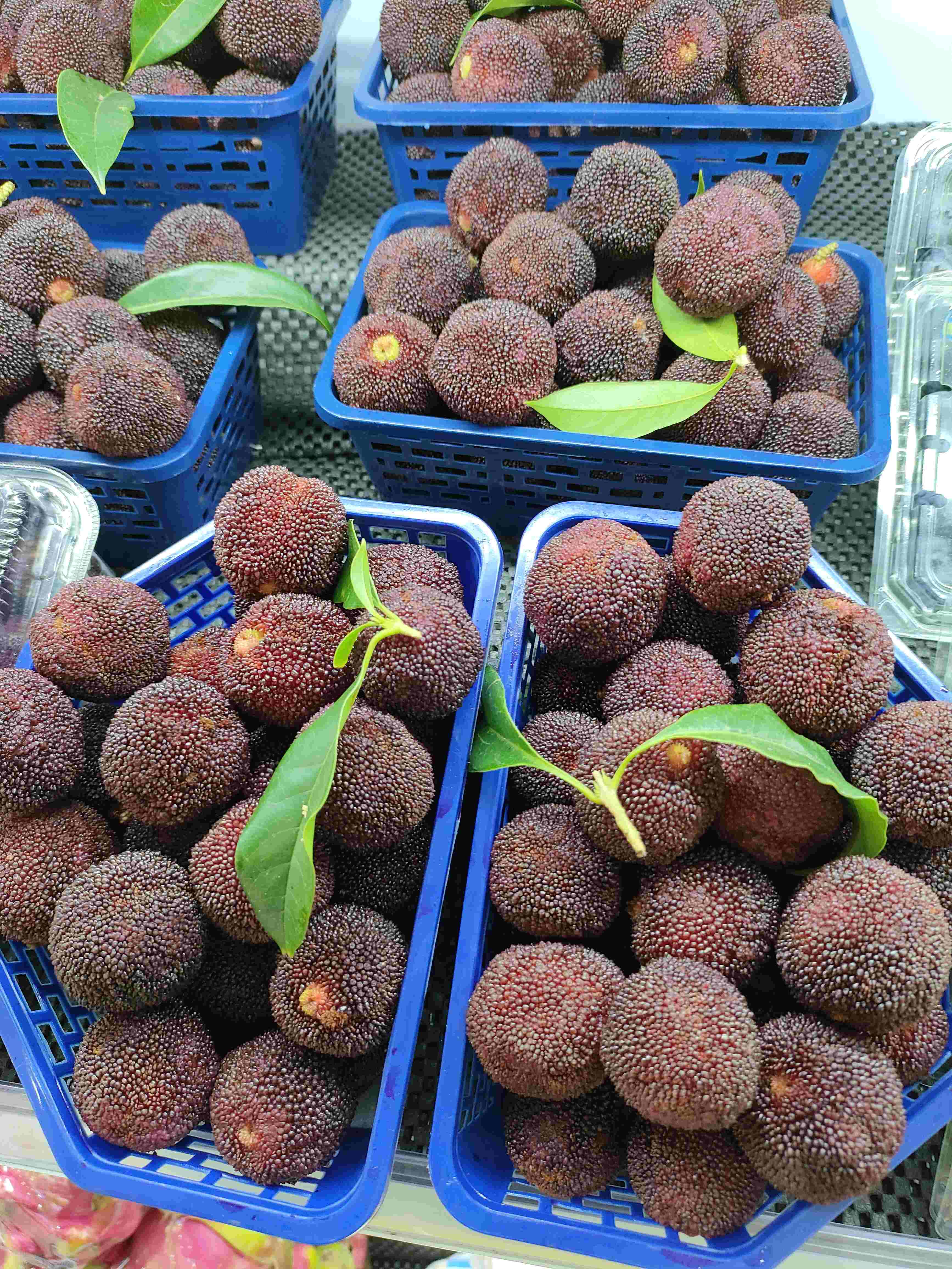 团购25元2盒东魁杨梅特大果约3斤