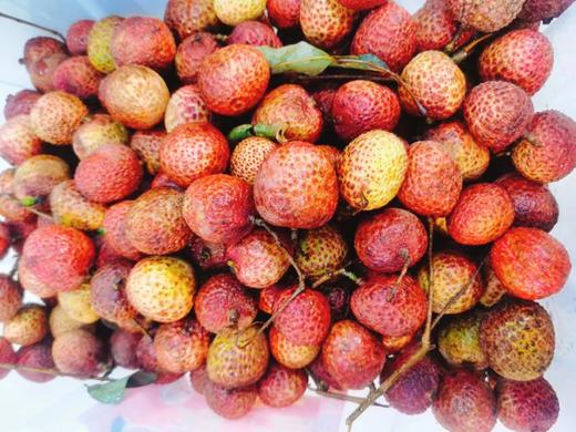 白糖樱荔枝2斤 商品图0