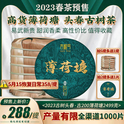 2023春茶 薄荷塘普洱茶生茶古树生普云南七子饼茶叶2499克 商品图5