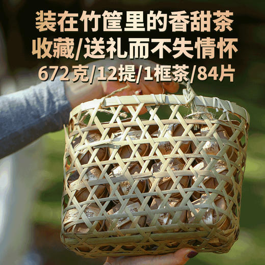 吉顺号冰岛甜普洱茶生茶古树茶生普玲珑小茶饼84片/筐 商品图1