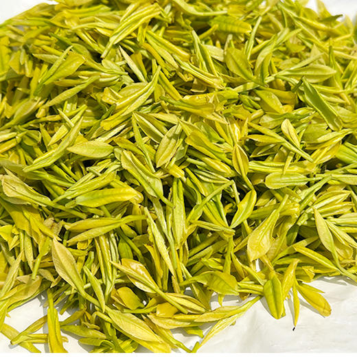 遵义绥阳【大溪茶神台·黄金茶】一两黄金一两茶  干茶亮黄 汤色明黄 叶底纯黄  全国包邮 偏远地区除外 商品图0