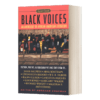 英文原版小说 Black Voices Signet Classics 黑人的声音 美国非裔文学作品集 Signet Classics 英文版 进口英语原版书籍 商品缩略图0