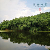 【周二周五发货】生态甜龙笋（基地直发-顺丰包邮）| 多种规格，来自广州市从化区，生产者：黄新【合作生产，公平贸易】 商品缩略图7