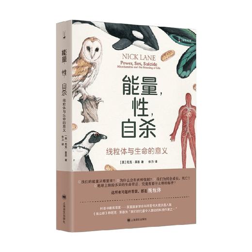 能量 性 自杀 尼克·莱恩 著 科普读物 商品图1