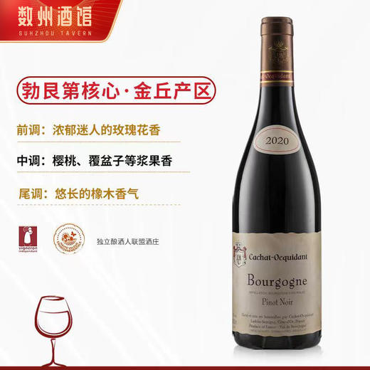 【勃艮第金丘AOC】 菲特瓦凯撒世家干红葡萄酒 AOC等级 13%vol 商品图6