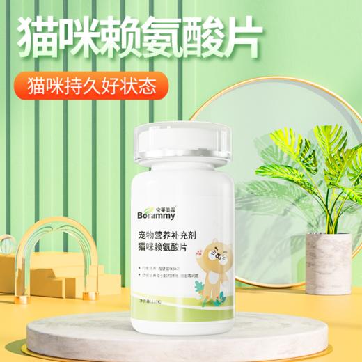 宝莱美露 猫咪赖氨酸片100粒 营养品批发 商品图1