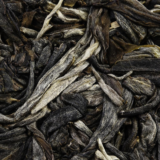 【弯弓】有钱难买的稀缺货，弯弓作为易武茶的终点那白茶园则是弯弓中的终点，稀缺高杆古树资源 商品图3