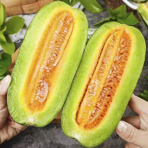 XZG-博洋九号香瓜 3斤+-0.2/份～18元 ，香甜脆嫩 商品图2