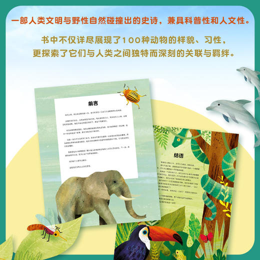 【博物通识教育·5岁+推荐】100种动物的世界历史精装版，5万字，超大开本设计，堪比纪录片的纸上视觉盛宴 商品图2