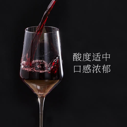 熙柏露华丽西拉红葡萄酒 商品图3