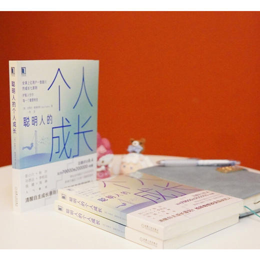 聪明人的个人成长 史蒂夫·帕弗利纳 著 励志与成功 商品图0