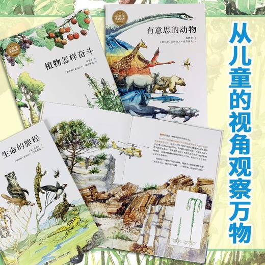 睡着的石头会说话 11-14岁 苗德岁 著 科普百科 商品图1