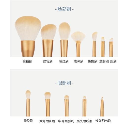 AMORTALS 尔木萄 星动化妆刷套装12支装 赠刷筒+刷包 韩国 商品图2