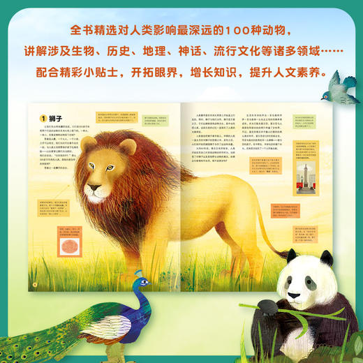 【博物通识教育·5岁+推荐】100种动物的世界历史精装版，5万字，超大开本设计，堪比纪录片的纸上视觉盛宴 商品图3