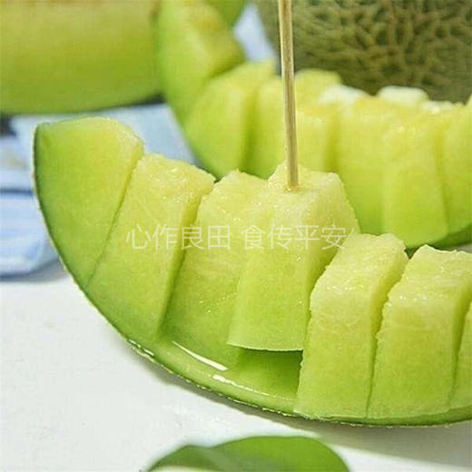 阿林有机种植星辰网纹瓜 商品图5