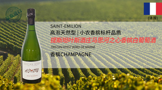 法国-提斯坦叶斯酒庄马思河之心香槟白葡萄酒 商品图0