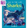 预售 【中商原版】A Day in the Life：Sharks 一天的小生活：鲨鱼 英文原版 进口图书 儿童绘本 动物图画书 精装精品绘本 儿童读物 商品缩略图0