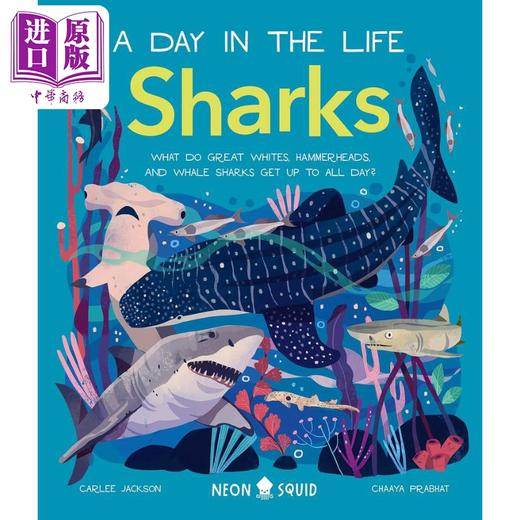 预售 【中商原版】A Day in the Life：Sharks 一天的小生活：鲨鱼 英文原版 进口图书 儿童绘本 动物图画书 精装精品绘本 儿童读物 商品图0