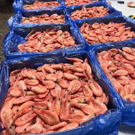北极甜虾—头籽】甜虾之所以鲜美，全部捕捞自冰冷纯净的北冰洋和北大西洋海域，100%纯野生。两三百米以下的深海，生长环境优越，来自极寒之地的美味大餐！2斤/箱 商品图2
