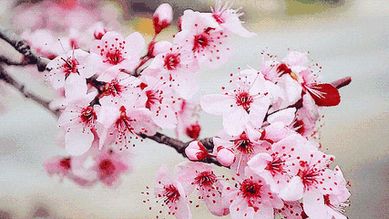 逸红颜明月优选#『锦婳』23姆米改良新中式香云纱连衣裙,夏季的降温