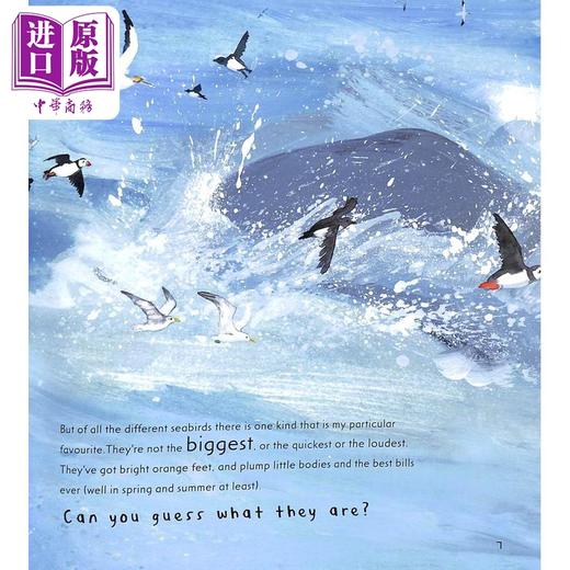 【中商原版】Martin Jenkins: Puffin 海雀 英文原版 进口图书 儿童科普绘本 动物图画书 儿童百科知识图书 精品童书英文绘本 商品图2