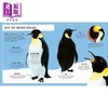 【中商原版】Young Zoologist：Emperor Penguin 小动物家：帝王企鹅 英文原版进口 儿童百科绘本 动物科普知识图书 精装知识绘本 商品缩略图5
