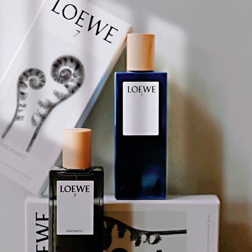 LOEWE罗意威无名英雄浓香水100ml 商品图1