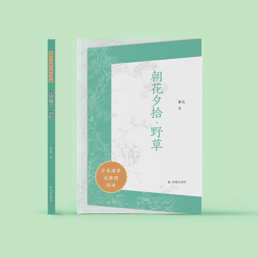 “少年国学无障碍阅读”系列:《朝花夕拾·野草》 商品图1