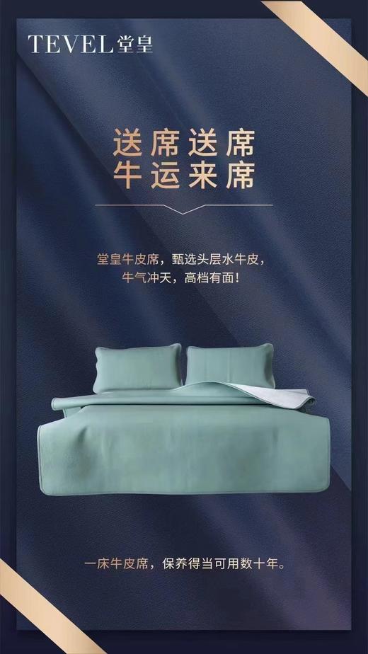 6F【堂皇】 长乐未央牛皮席三件套 商品图2