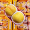 高原芒果桃 约350g/份 商品缩略图1