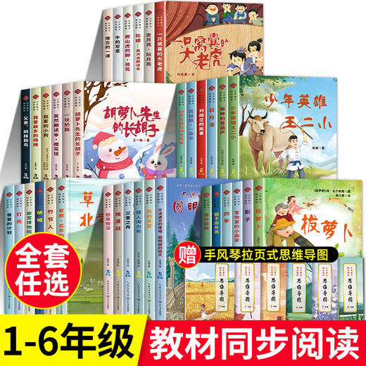 小学语文同步阅读书籍全套一二三年级四五六年级上册必读课外书老师推荐1-6慈母情深梁晓声 一只窝囊的大老虎走月亮少年英雄王二小 商品图0