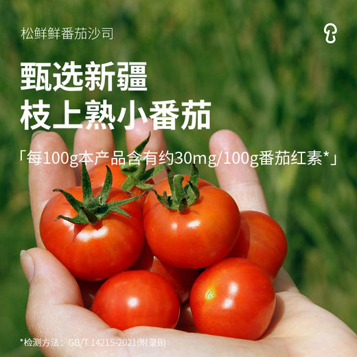 松鲜鲜番茄沙司 不止0添加 还有6种果蔬成分 商品图4
