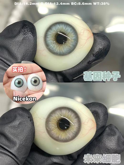nice'kon 美瞳年抛 未来细胞 直径14.2mm着色13.4mm 商品图10