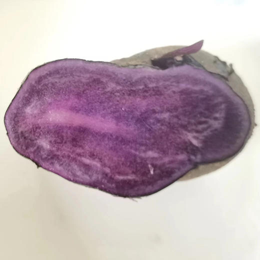 有机山地小黑土豆 商品图3