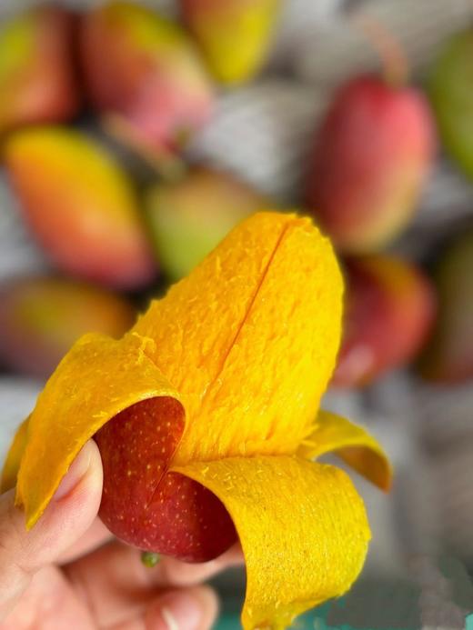 一级大青芒（9斤装） 商品图1