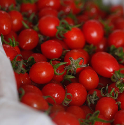 〔上海直发包邮06〕海南小番茄 商品图0