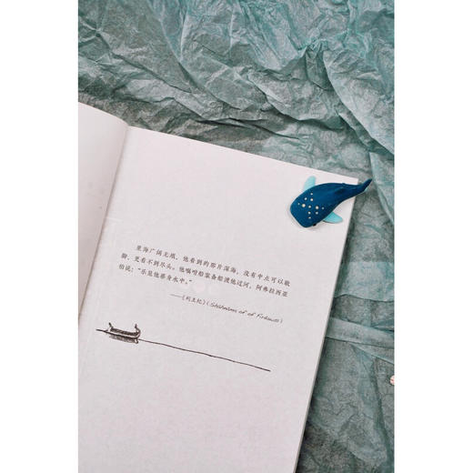 暨南中外关系史丛书  波斯航海史 哈迪·哈桑  著 历史 商品图1