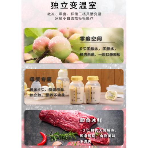 创维冰箱BCD-500WXGPS玛瑙灰双变频一级能效 光合养鲜三档变温面光源顶灯 商品图4