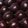 顺丰包邮到家！大连基地直送，俄罗斯8号大樱桃，个头大，黑紫，甜度非常高，能达到糖24，脆甜多汁！口感超过车厘子👍3J二斤 商品缩略图0