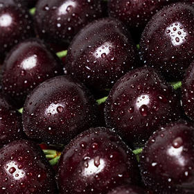 顺丰包邮到家！大连基地直送，俄罗斯8号大樱桃，个头大，黑紫，甜度非常高，能达到糖24，脆甜多汁！口感超过车厘子👍3J二斤