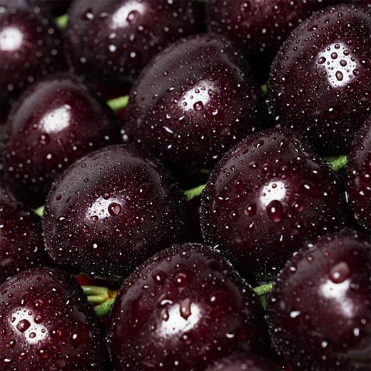 顺丰包邮到家！大连基地直送，俄罗斯8号大樱桃，个头大，黑紫，甜度非常高，能达到糖24，脆甜多汁！口感超过车厘子👍3J二斤 商品图0