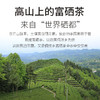 2026明前新茶 7星系列恩施玉露明前早春茶绿茶125g*2罐 商品缩略图2