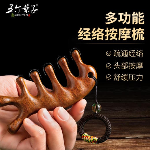 按摩梳【带礼盒】头部经络梳 头皮檀木梳子养生头疗女士穴位牛角梳宽齿梳大齿梳节日礼物送父母 商品图1